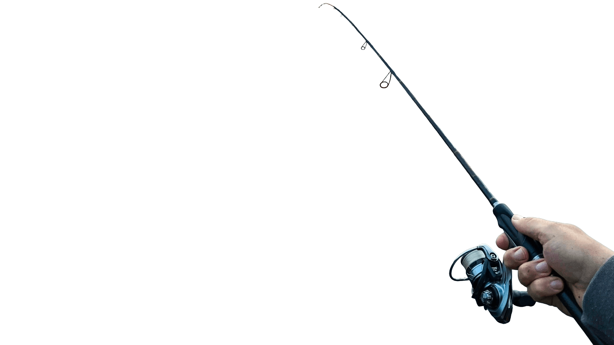 Fishing rod