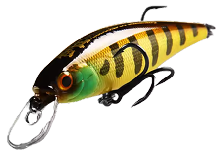 Bearking Squad Minnow